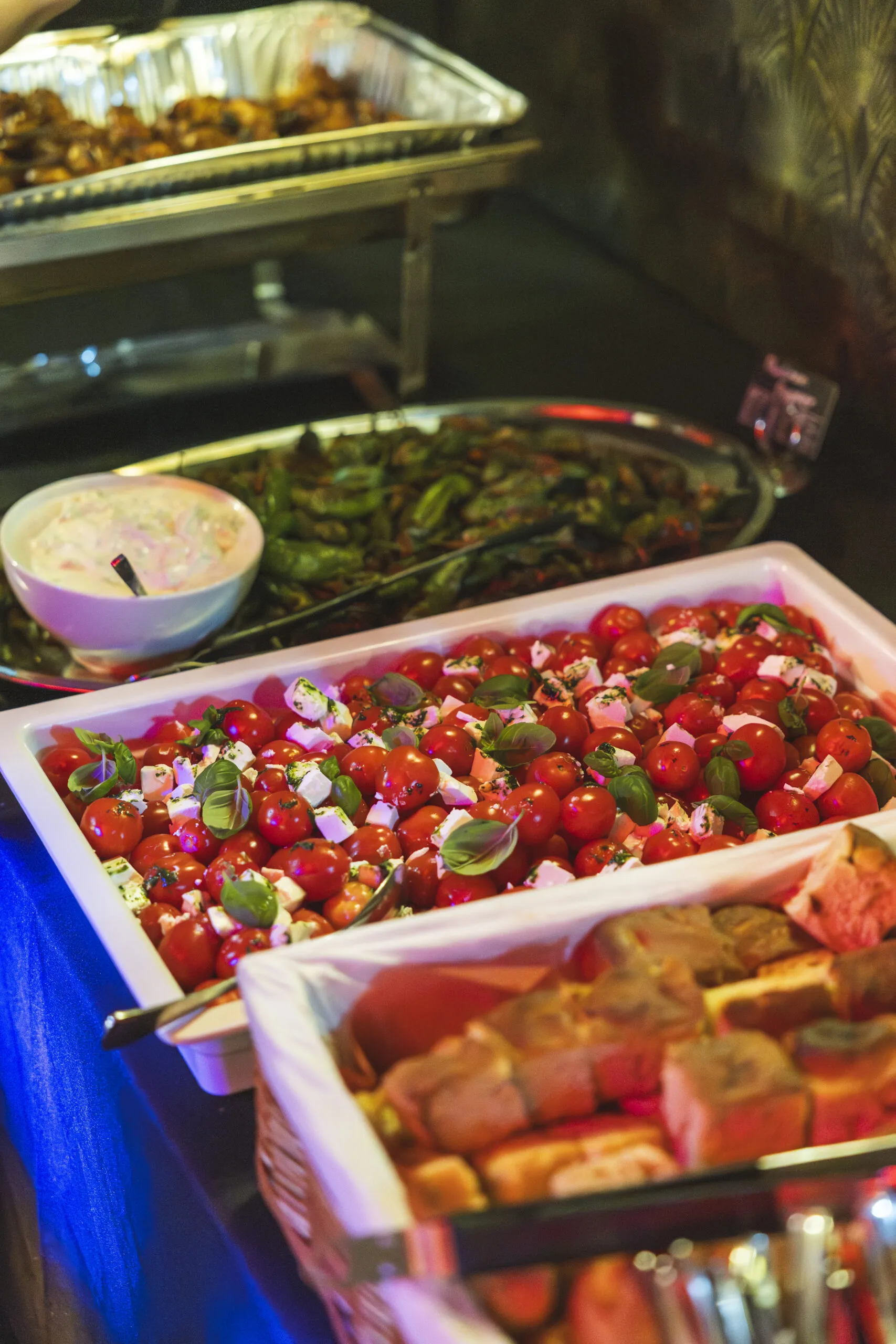 Cue_AnnaOBrambilla-15